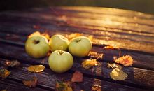 给祝女朋友开心的句子