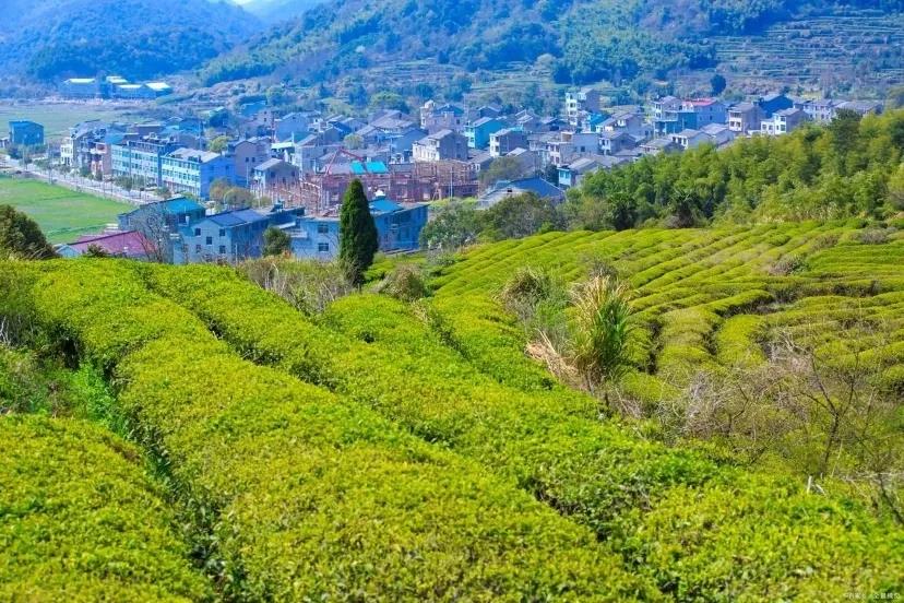 保持良好的心态，每天聊一聊1