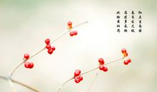 委婉表达思念的诗