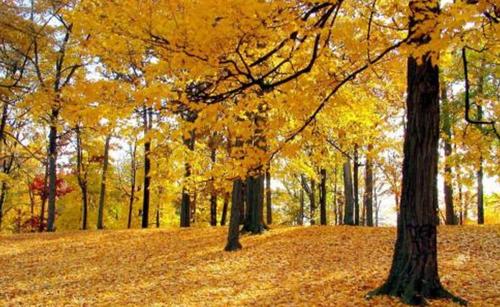 谈谈秋天的心情