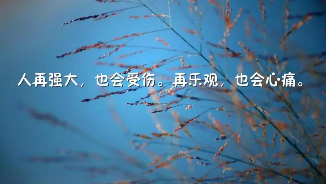 非常现实的段落适合发送Moments Moments 1