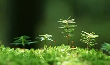 赌博经典霸气语录