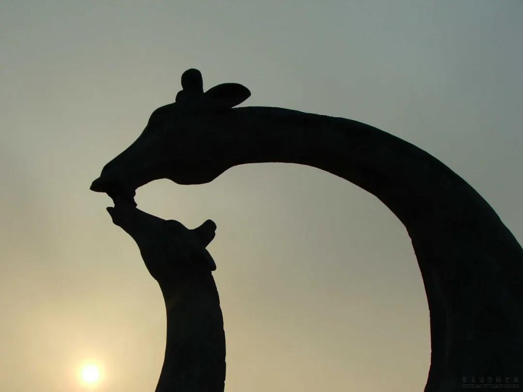 妈妈的生日快乐短语1