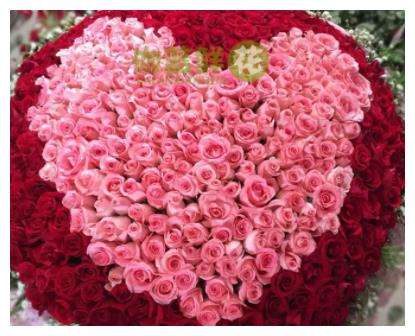 赞美胖老婆的句子2