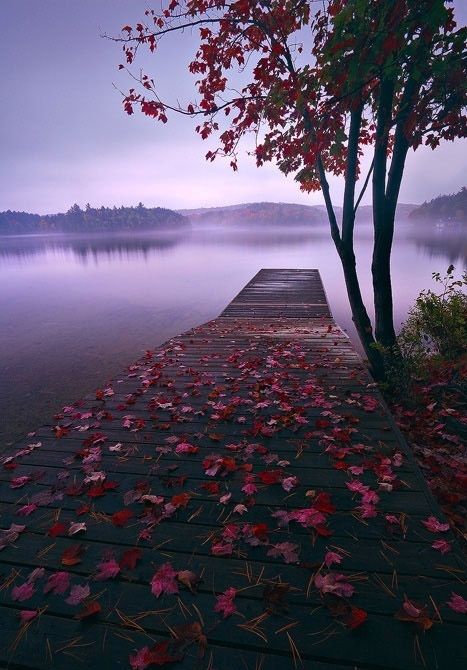 如果我错过了我会后悔的