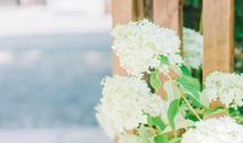 开心的英语句子大全