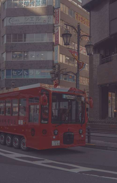 姐妹之间的文学句子