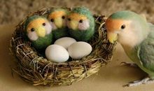 分手开心霸气的句子