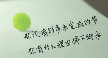 每天起床后与朋友圈聊天