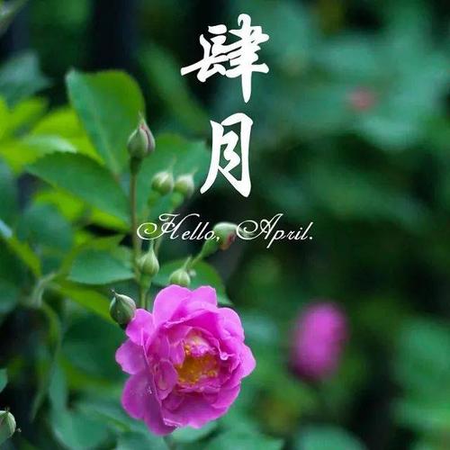 关于四月份朋友圈的句子