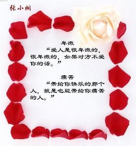 爱情誓言经典句子16字