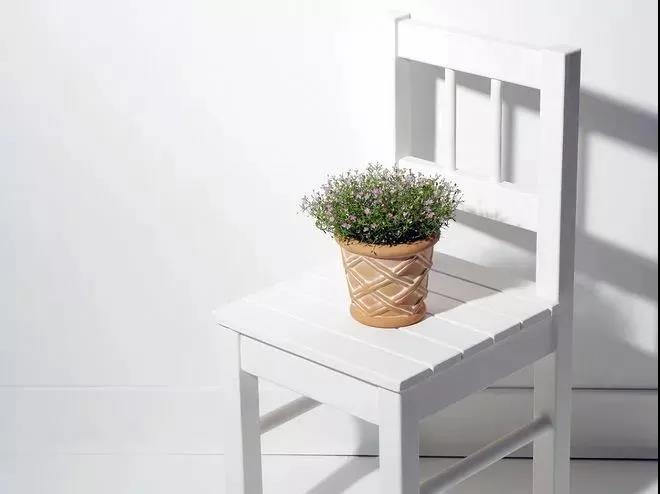 最新的文案短语清洁和治愈2