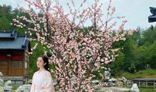 开心的文言文句子