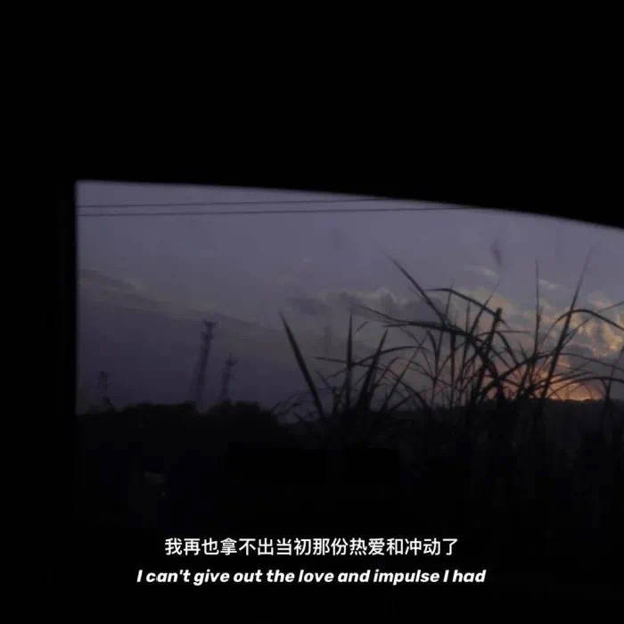 深夜触及泪腺的句子