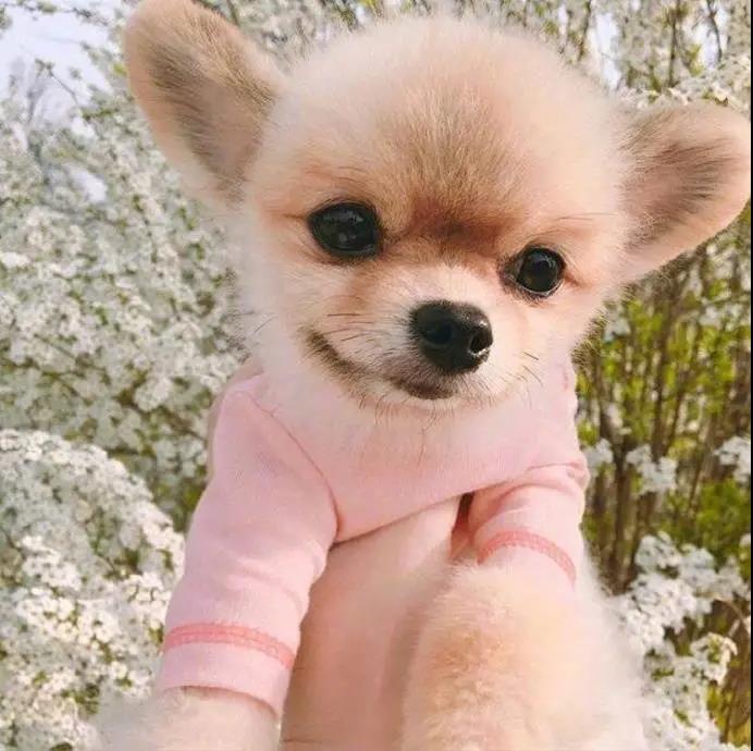 抱怨句子谈情绪