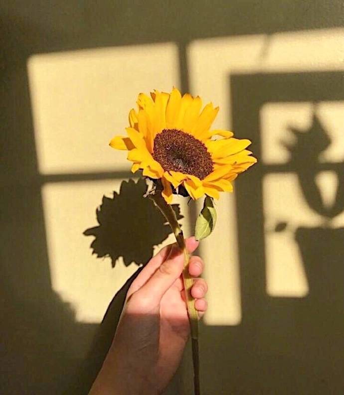 颤音超级热门励志短句1