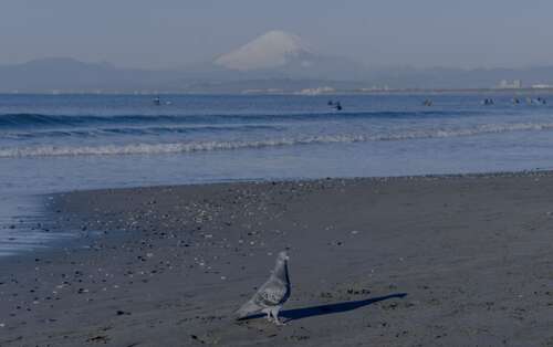 描述快乐女生的句子