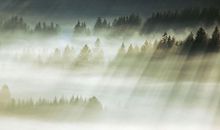 生气了哄人开心的句子