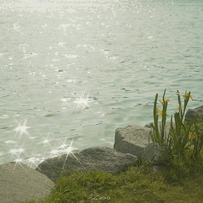 自己的励志简短句子1