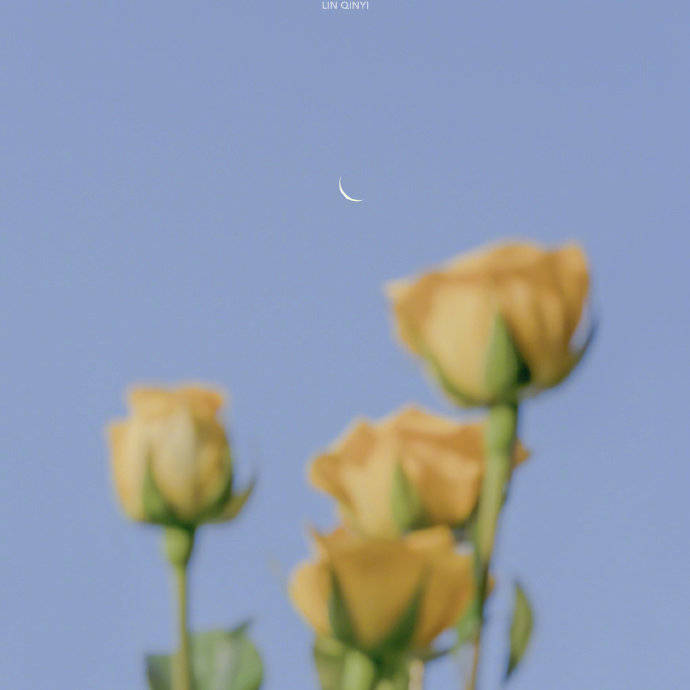 自己的励志简短句子2