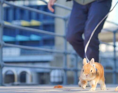 见女友快乐的句子2