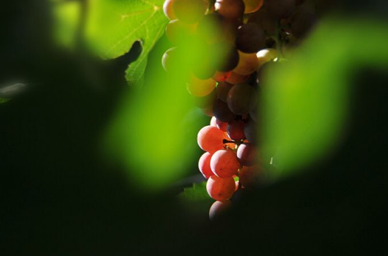 让你开心的句子2