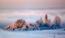 形容下雪开心的句子