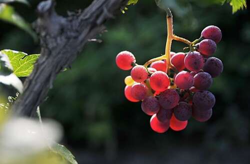 使你开心的句子1