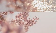 逗领导开心的句子