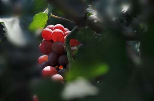 令你开心的句子