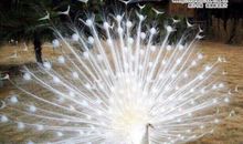 见到朋友很开心的句子