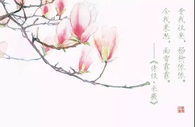 诗经2中清新优雅的句子