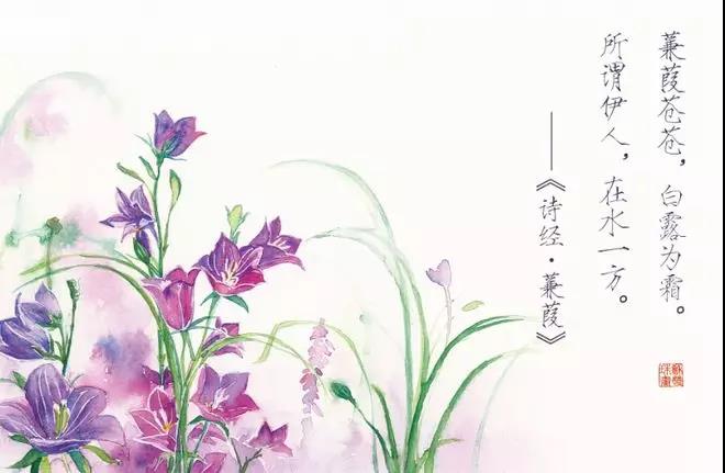 诗经中清新雅致的句子