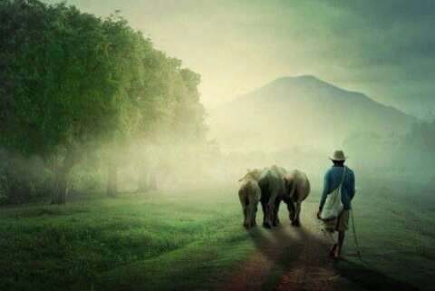 春节快乐的句子