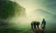 形容春游开心的句子