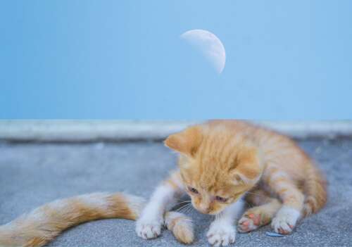 感到高兴的句子