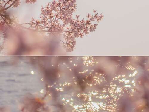 幽默而快乐的句子