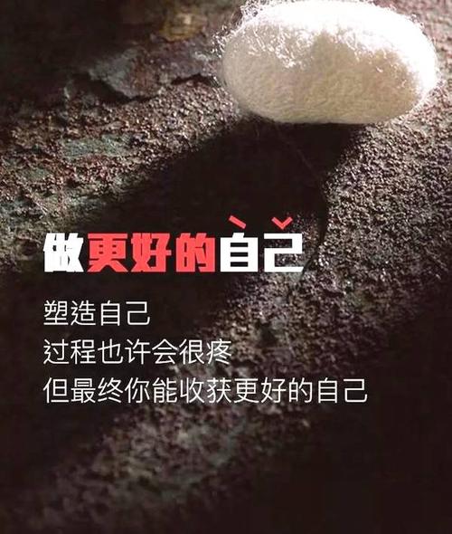 时刻的朋友情感鼓舞人心的谈话