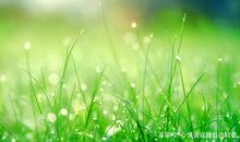 微信朋友圈发的感情的说说