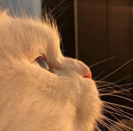 可以使女孩开心的句子