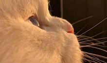 可以逗女生开心的句子