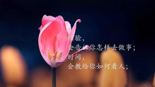 Tik Tok情感行情背景