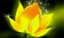 清晨问候语正能量短语