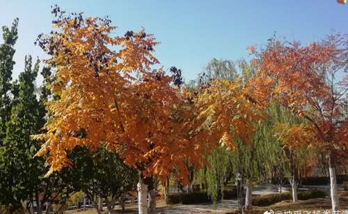 用来描述幸福微笑的句子