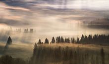 形容笑的很开心的句子