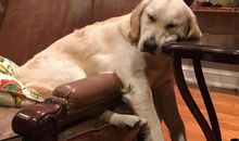 喝酒的说说开心的句子