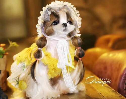 幸福的笑容幽默的句子