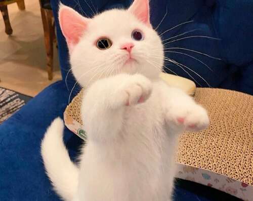 幸福的笑容幽默句子1