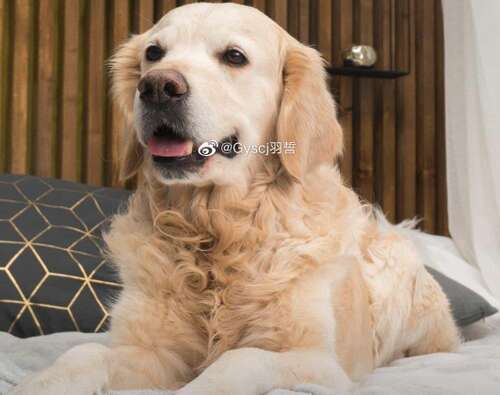 开心笑容幽默句子2