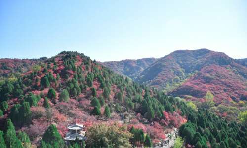 每天快乐地生活